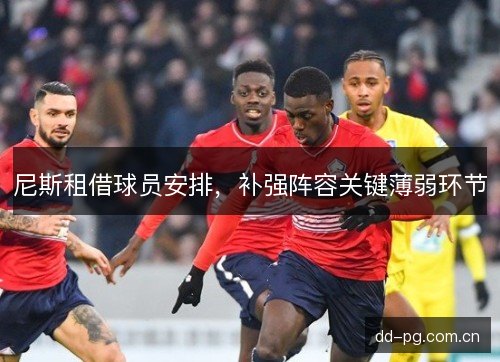 尼斯租借球员安排，补强阵容关键薄弱环节