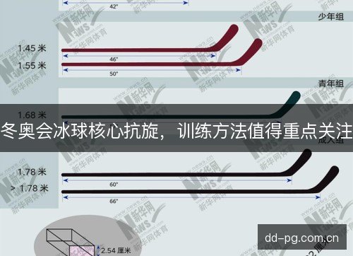 冬奥会冰球核心抗旋，训练方法值得重点关注