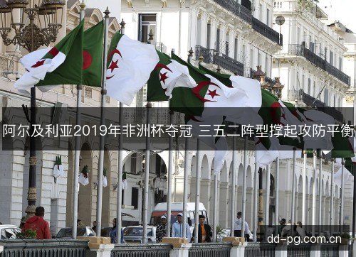 阿尔及利亚2019年非洲杯夺冠 三五二阵型撑起攻防平衡